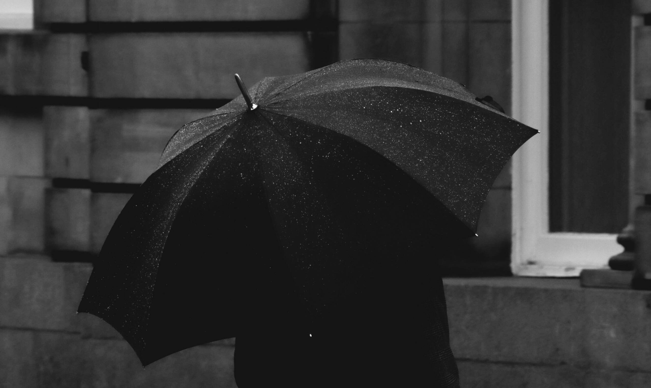 jay-alexander-0FyEW9fn9Fw-unsplash