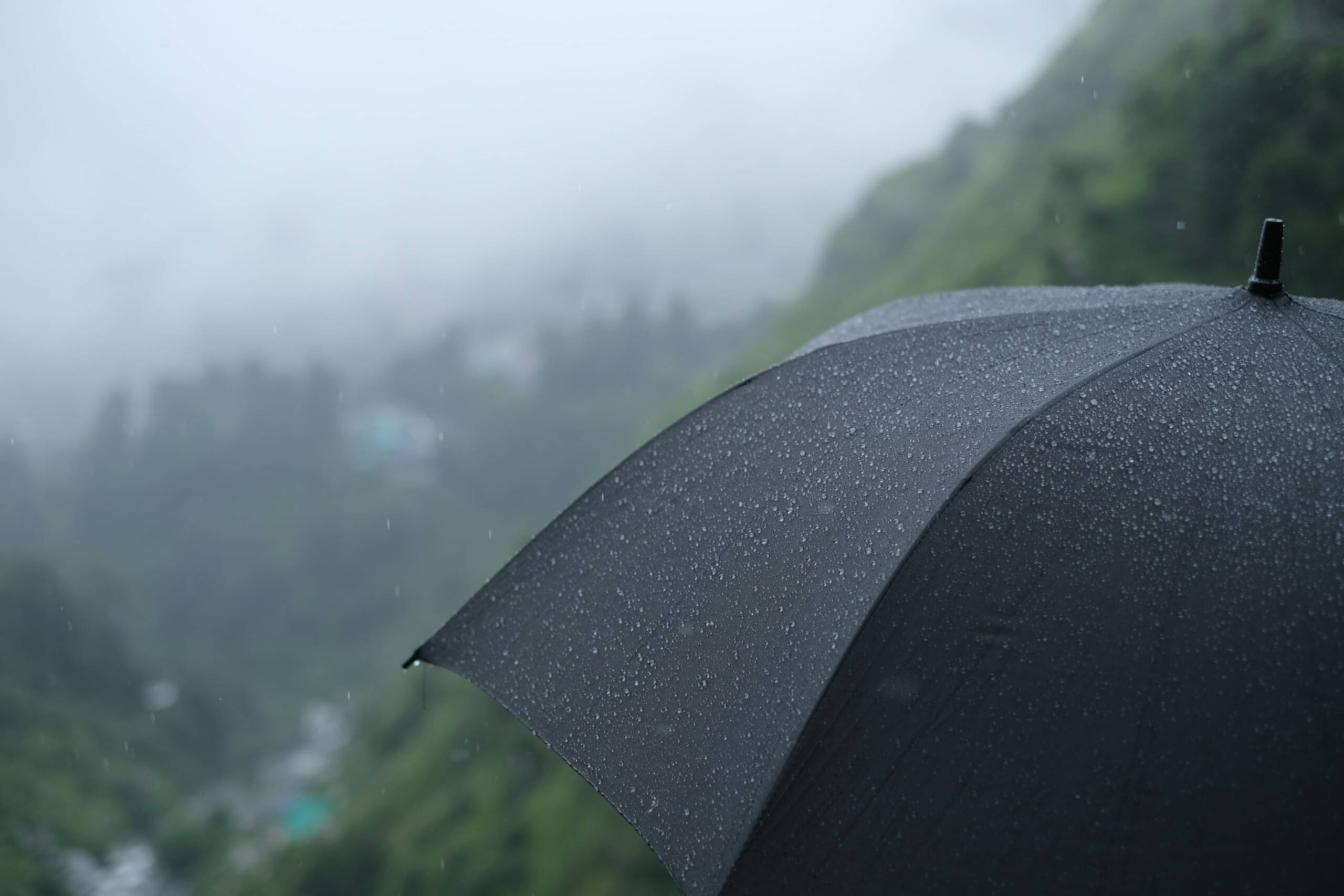 ravi-sharma-R6LvBD9iq38-unsplash(1)