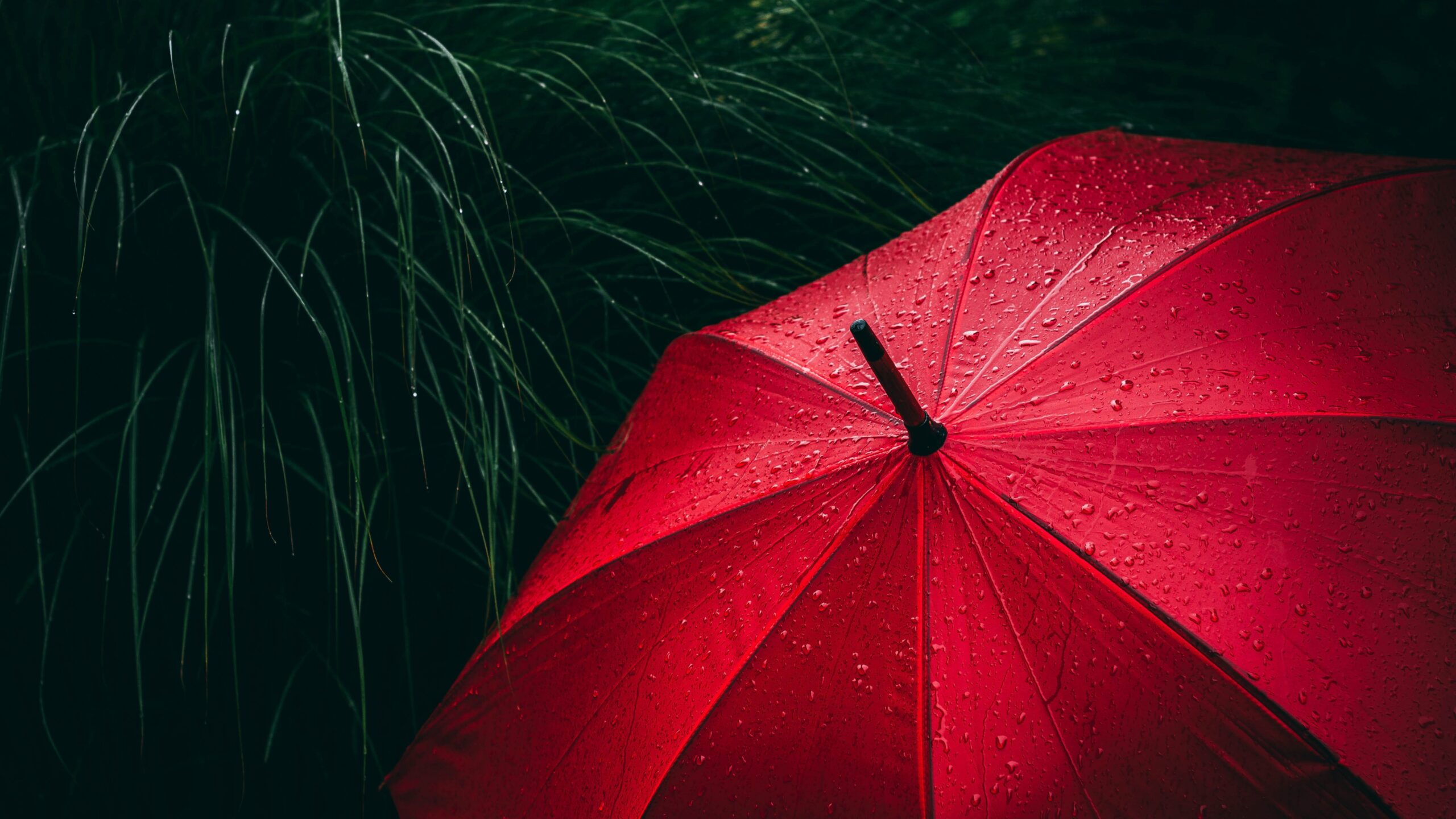 umbrella-red-rain-droplets-rainy-day-5k-3840×2160-707